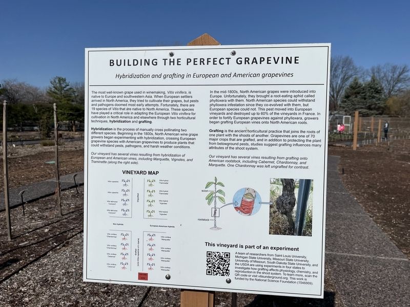Building the Perfect Grapevine Marker image. Click for full size.