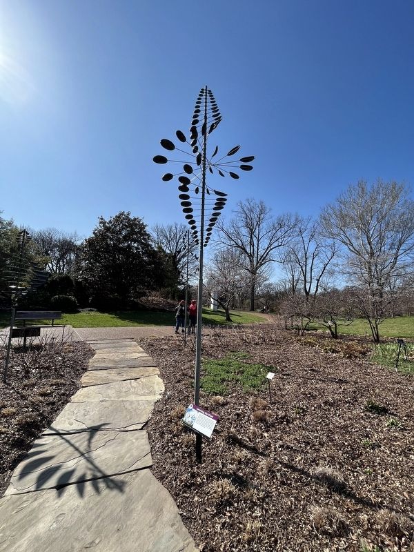 One of the wind sculptures image. Click for full size.