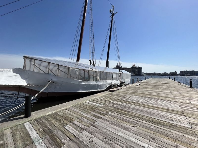 <i>Lady Maryland</i>. Click for full size. <i>Lady Maryland</i> image. Click for full size.