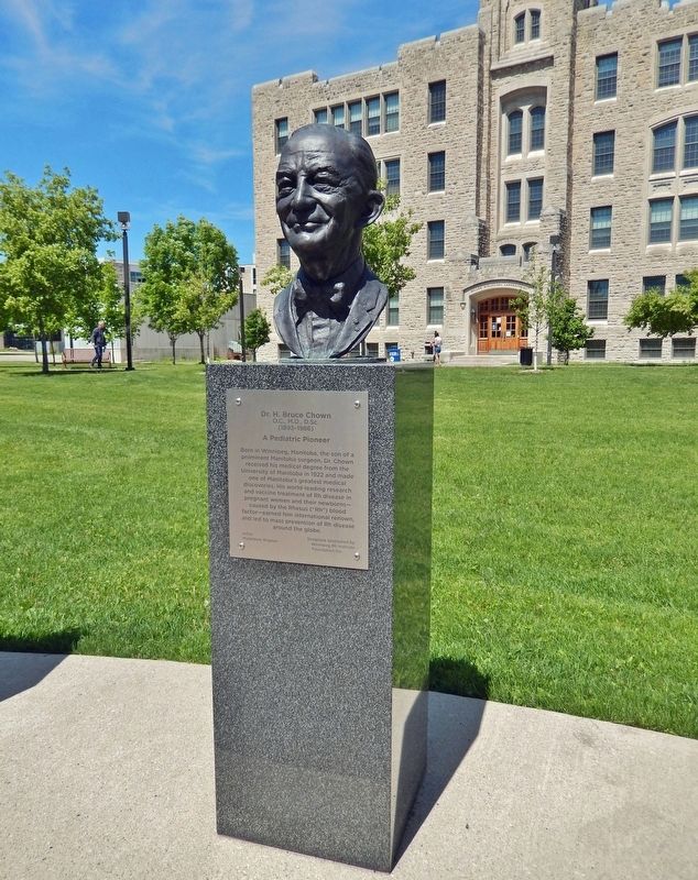 Dr. H. Bruce Chown Memorial image. Click for full size.