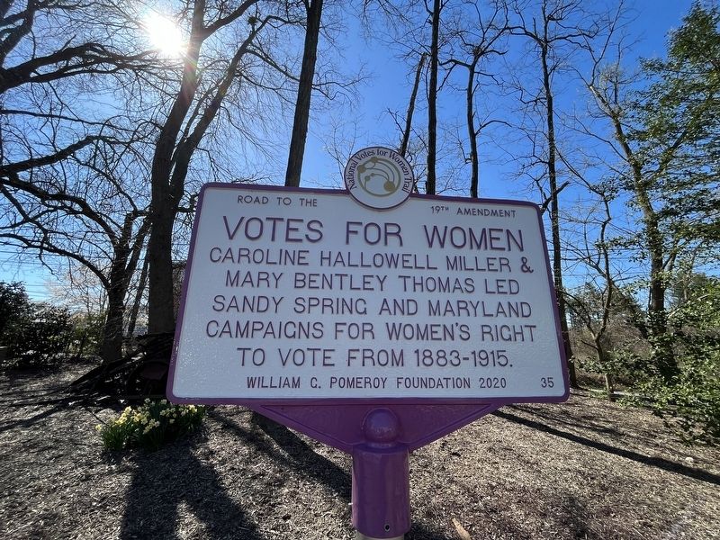 Votes for Women Marker image. Click for full size.