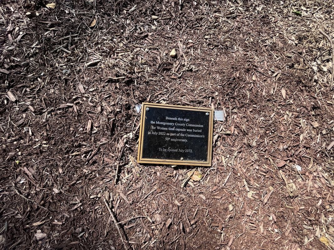 Nearby time capsule plaque image. Click for full size.