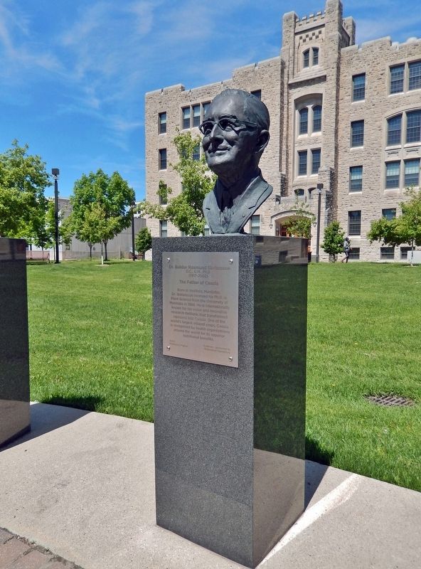 Dr. Baldur Rosmund Stefansson Memorial image. Click for full size.