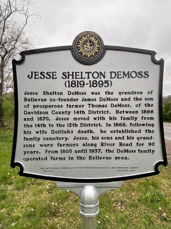 Jesse Shelton DeMoss Marker image. Click for full size.
