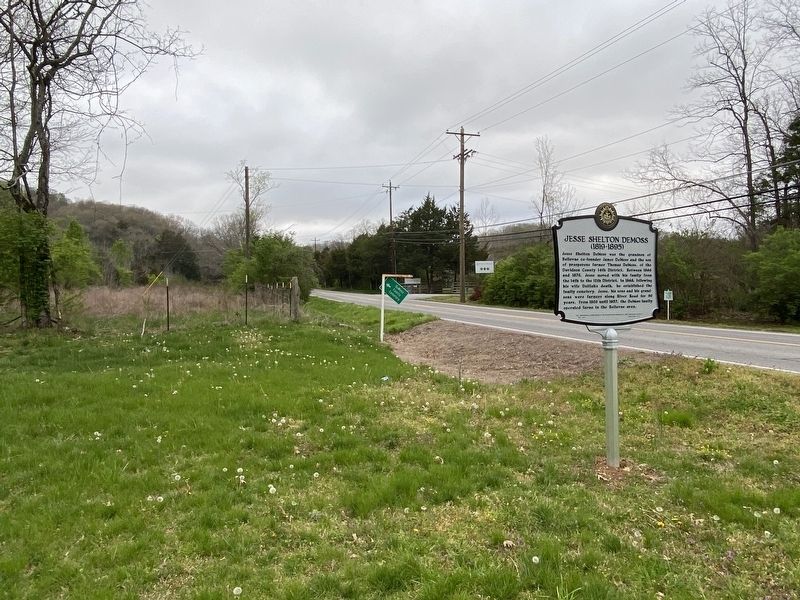 Jesse Shelton DeMoss Marker (looking west) image. Click for full size.