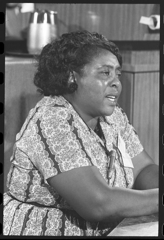 Fannie Lou Hamer image. Click for full size.