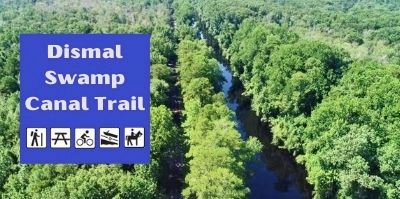 Dismal Swamp Canal Trail image. Click for more information.