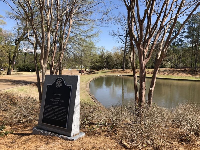 Silver Pond Marker image. Click for full size.