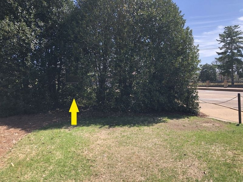 Hilgard Cut Marker (wider view) image. Click for full size.