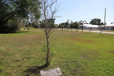Liberty Tree Marker. Click for full size. Liberty Tree Marker image. Click for full size.