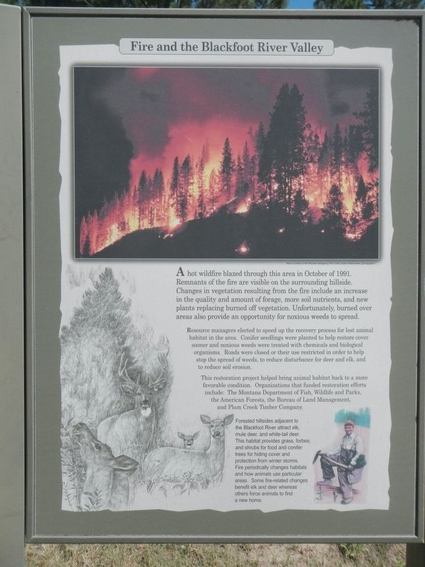 The Blackfoot River Corridor Marker, Fire and the Blackfoot River Valley panel image. Click for full size.
