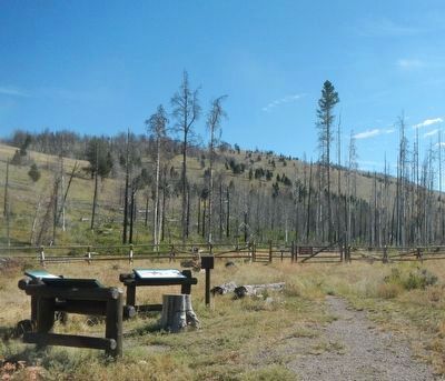 Road to the Buffalo Marker at the Alice Creek Trailhead image. Click for full size.