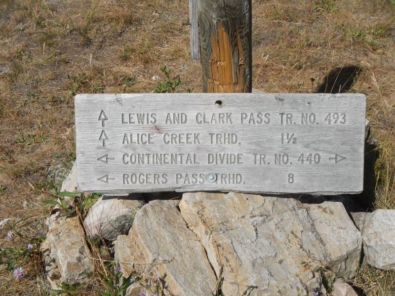 Trails sign image. Click for full size.
