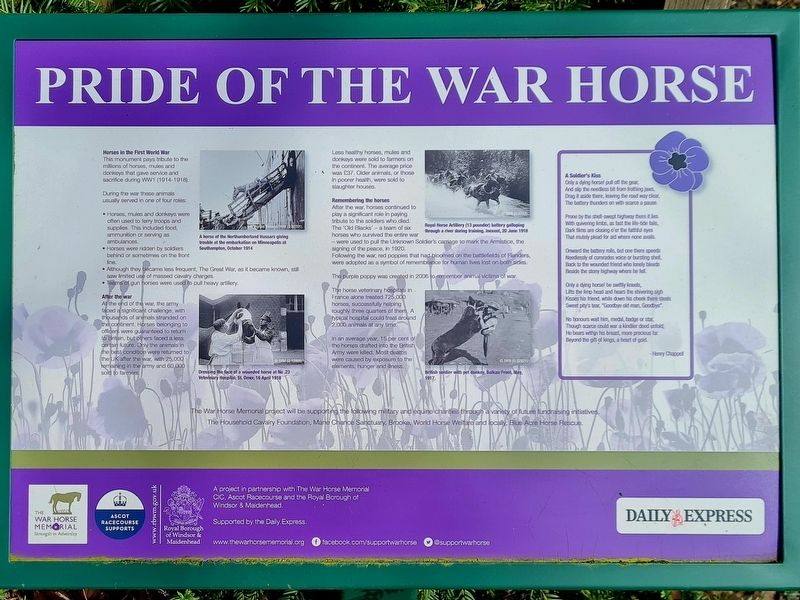 Pride Of The War Horse side of marker. Click for full size. Pride Of The War Horse side of marker image. Click for full size.