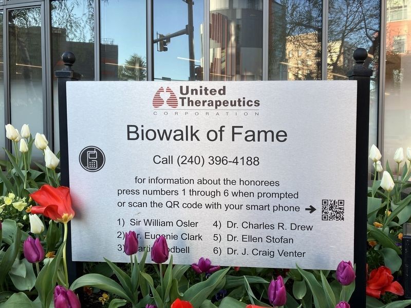 Biowalk of Fame. Click for full size. Biowalk of Fame image. Click for full size.