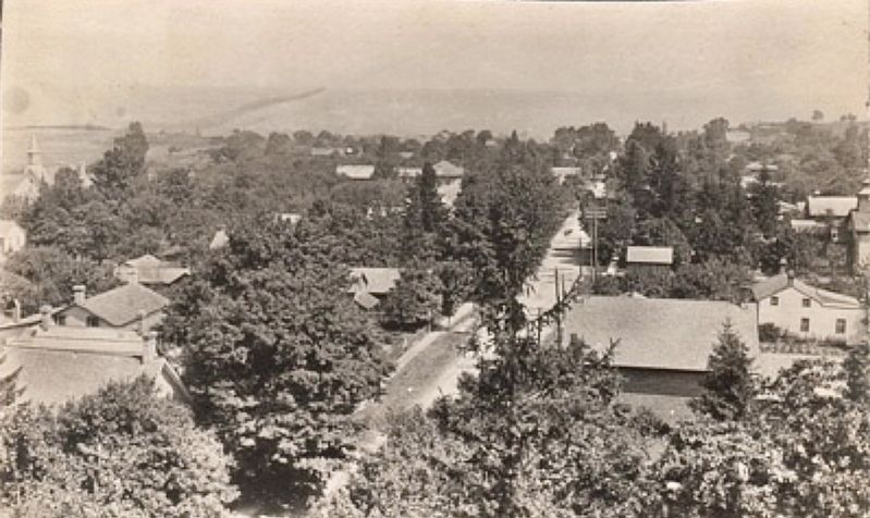 Postcard of Wilson Street in the village of Ancaster, about 1907 image. Click for full size.