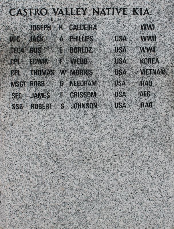 Castro Valley Veterans Memorial image. Click for full size.