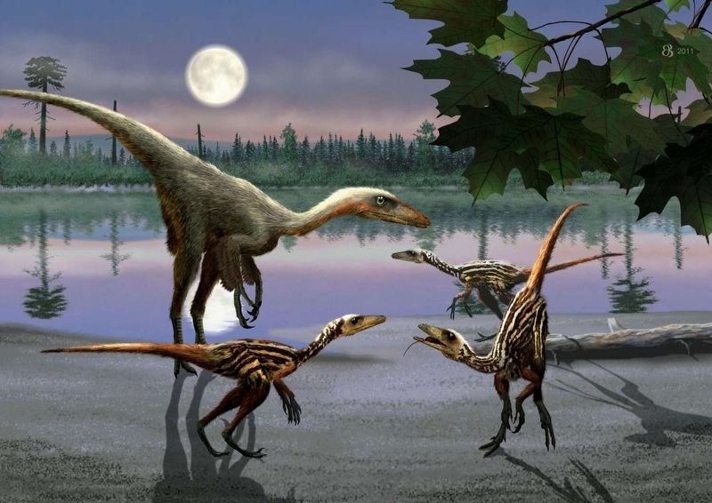 Troodon image. Click for full size.