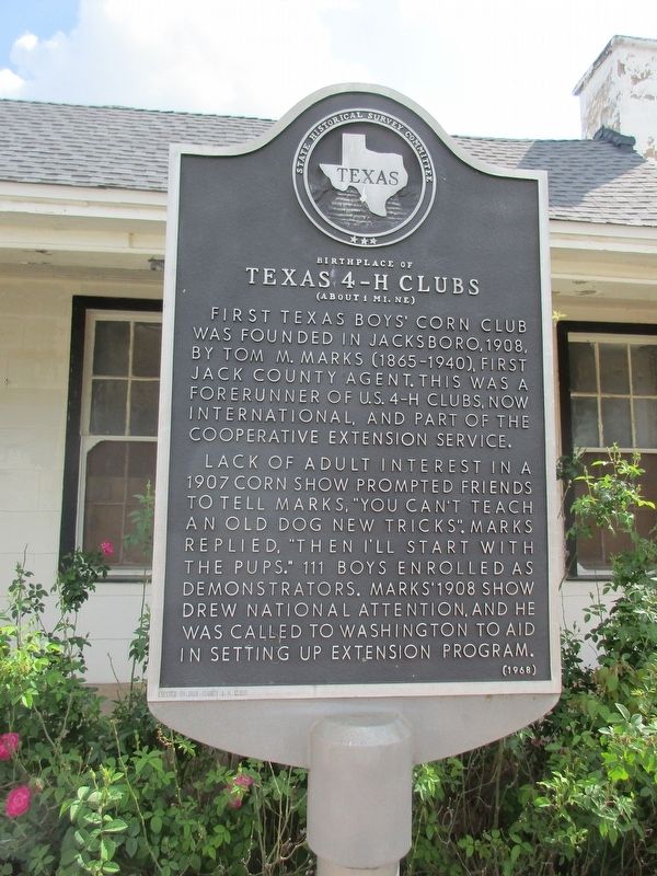 Birthplace of Texas 4-H Clubs Marker. Click for full size. Birthplace of Texas 4-H Clubs Marker image. Click for full size.