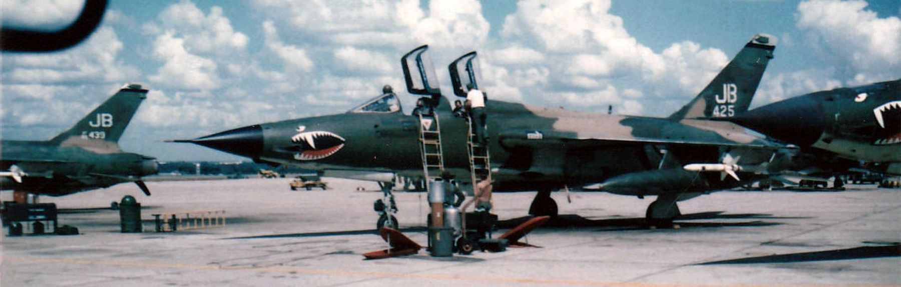 USAF Republic F-105G Thunderchief Wild Weasel image. Click for full size.