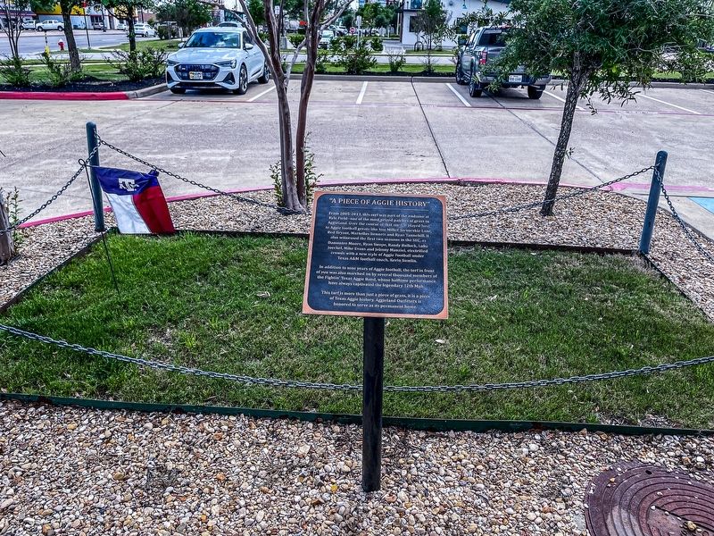 Marker and Kyle Field Grass image. Click for full size.