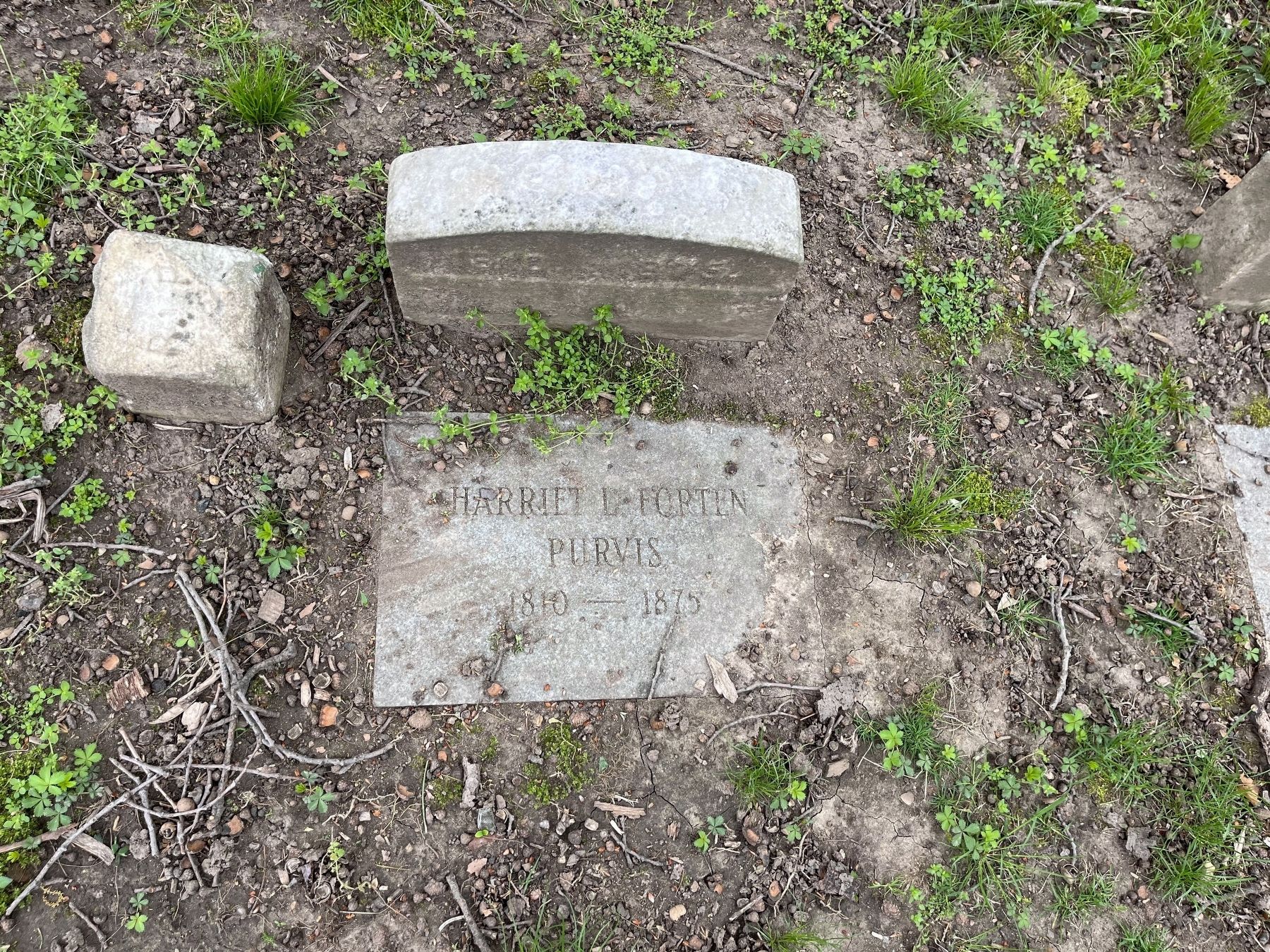 Grave site of Harriet Purvis image. Click for full size.
