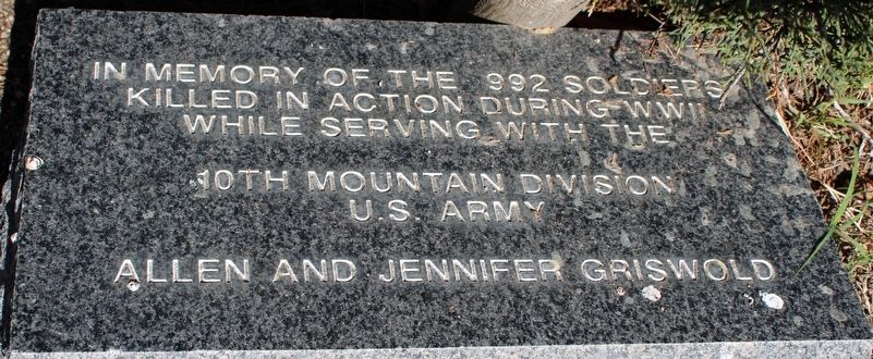 10th Mountain Division Marker image. Click for full size.