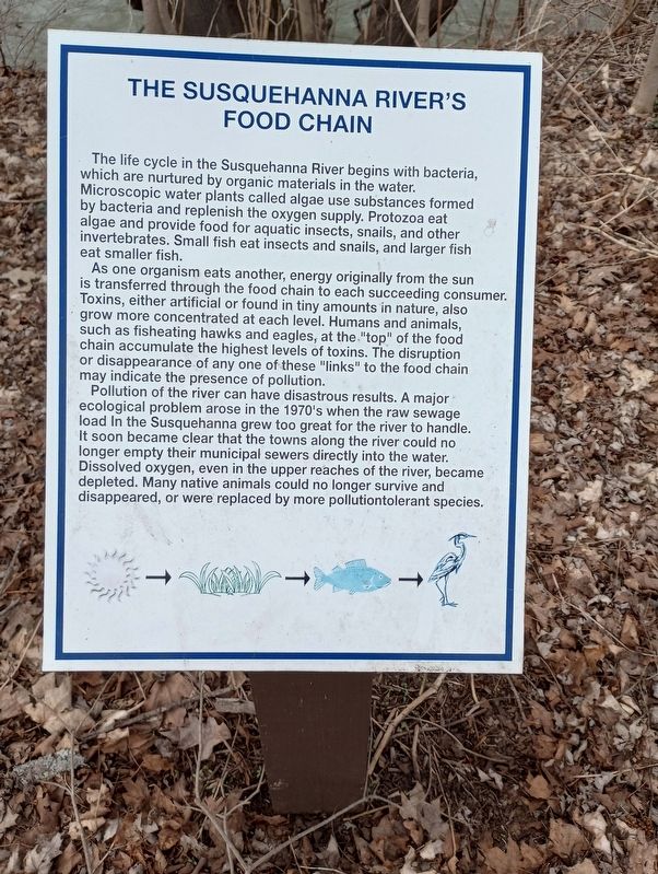 The Susquehanna River's Food Chain Marker. Click for full size. The Susquehanna River's Food Chain Marker image. Click for full size.