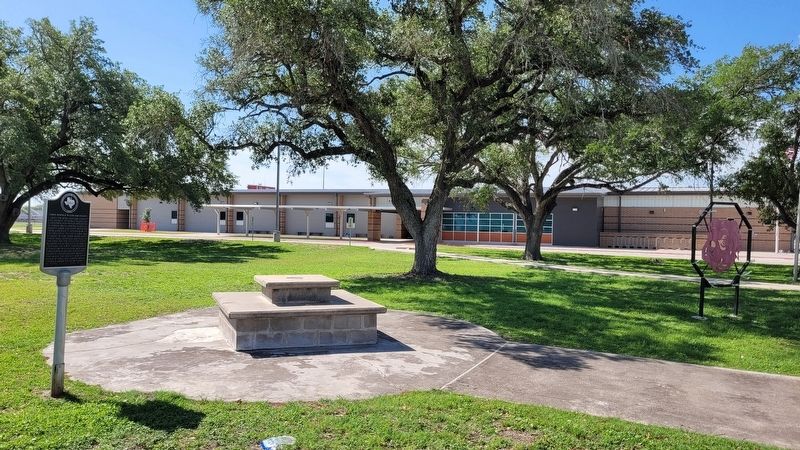 The view of the Early Schools in Live Oak County Marker from the small field image. Click for full size.