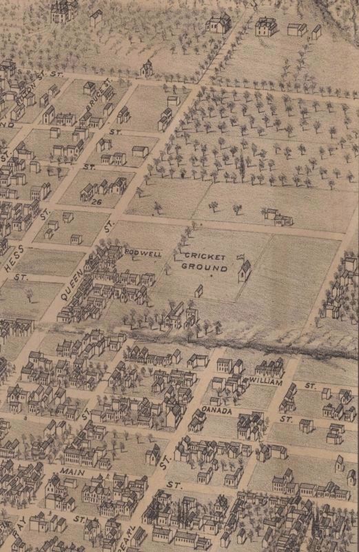 The Cricket Ground (later H.A.A.A. Grounds) from a Birds Eye Map of Hamilton, 1876 image. Click for full size.