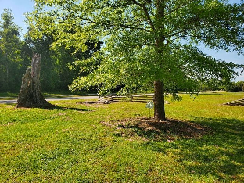 The Camden Oak Marker. Click for full size. The Camden Oak Marker image. Click for full size.