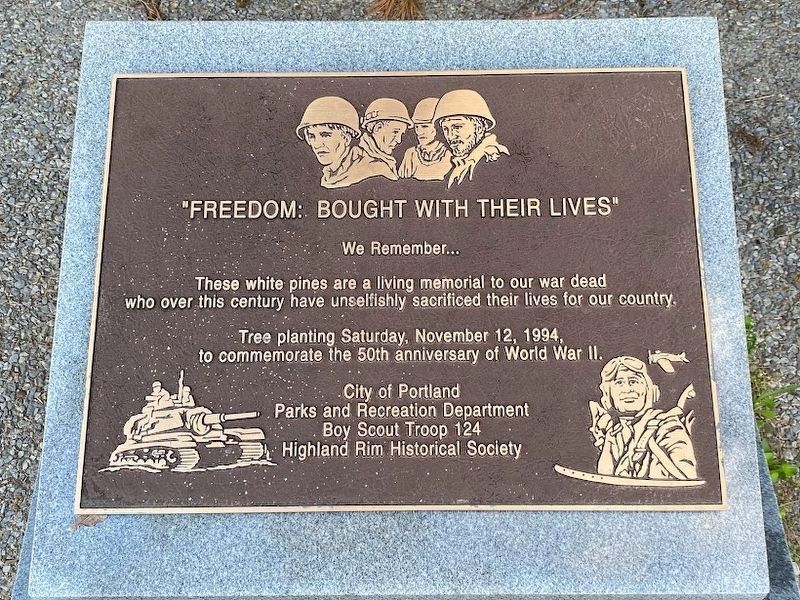 "Freedom: Bought with their lives" Memorial image. Click for full size.