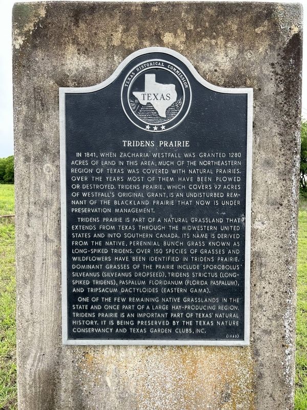 Tridens Prairie Marker. Click for full size. Tridens Prairie Marker image. Click for full size.