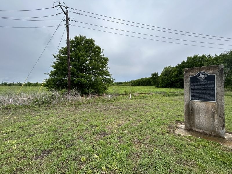 Grassland area behind Tridens Prairie marker.. Click for full size. Grassland area behind Tridens Prairie marker. image. Click for full size.