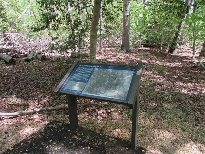 A Fatal Reconnaissance Marker. Click for full size. A Fatal Reconnaissance Marker image. Click for full size.