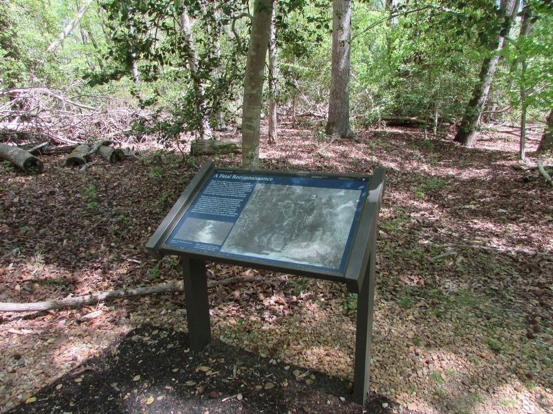 A Fatal Reconnaissance Marker image. Click for full size.