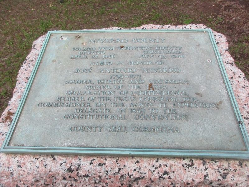Navarro County Marker image. Click for full size.