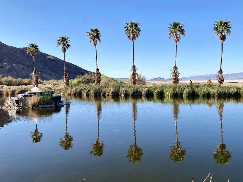 Zzyzx Pond and Fountain image. Click for full size.