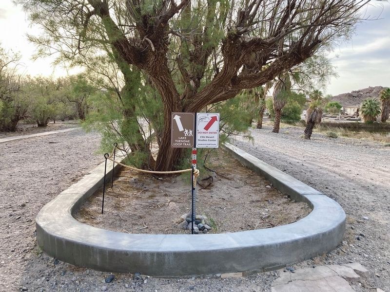 Marker is Missing image. Click for full size.