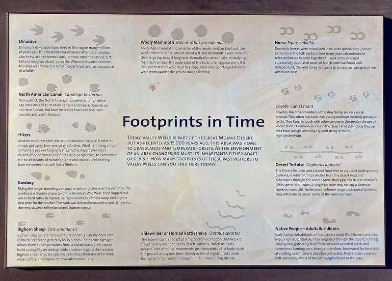 Footprints in Time Marker image. Click for full size.