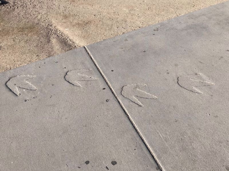 Footprints in Time - Dinosaur image. Click for full size.