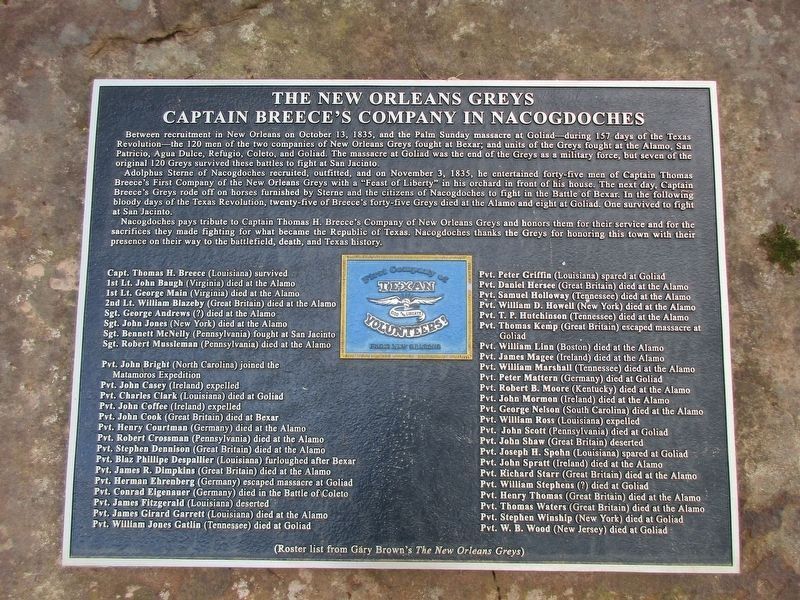 The New Orleans Greys Marker. Click for full size. The New Orleans Greys Marker image. Click for full size.
