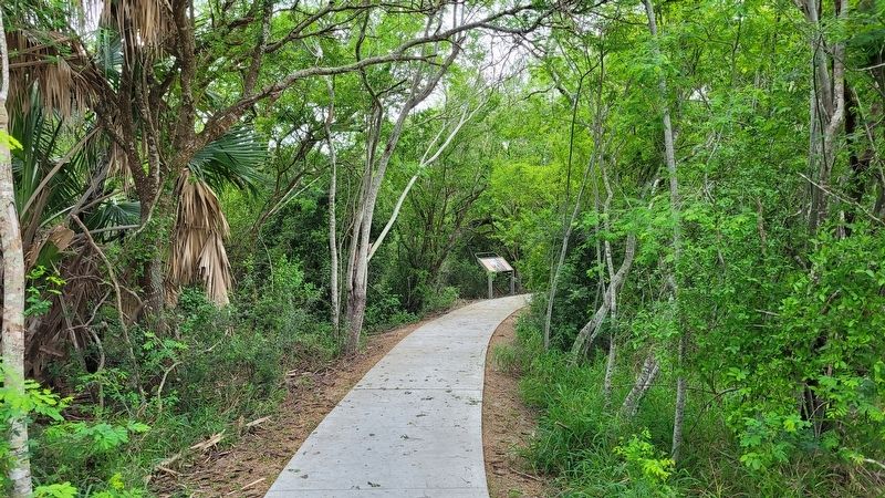 The view of the Hand-to-Hand Marker along the trail in the brush image. Click for full size.