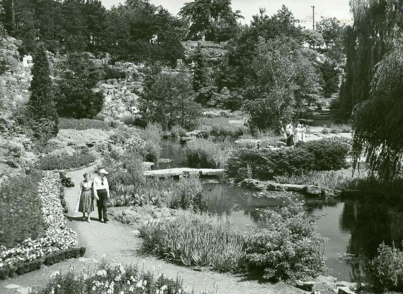 Royal Botanical Gardens Rock Garden in 1950. Click for full size. Royal Botanical Gardens Rock Garden in 1950 image. Click for full size.