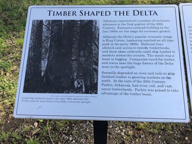Timber Shaped the Delta Marker image. Click for full size.