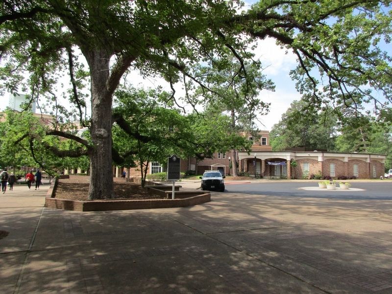 The University Tradition in Nacogdoches Marker image. Click for full size.