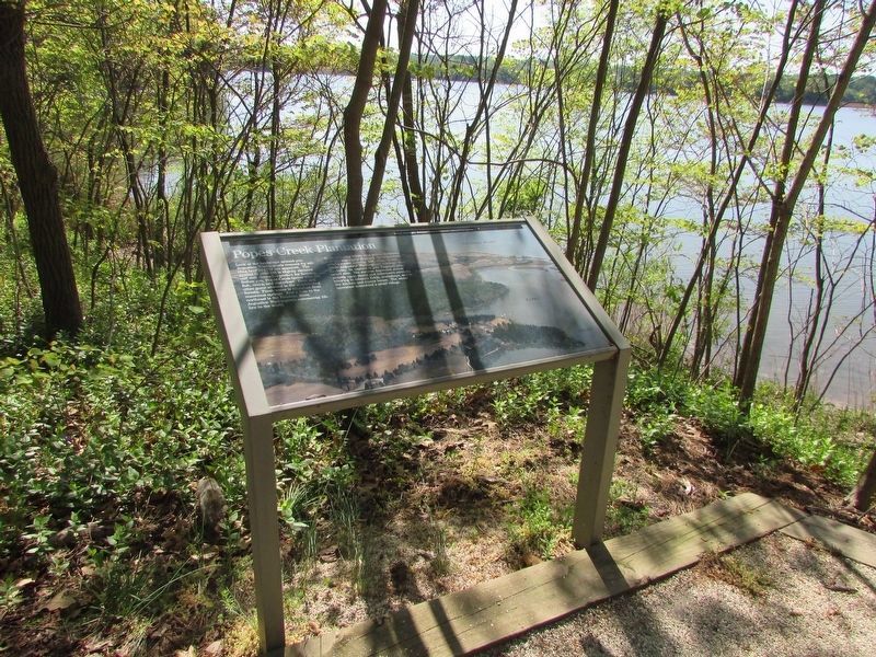 Popes Creek Plantation Marker. Click for full size. Popes Creek Plantation Marker image. Click for full size.
