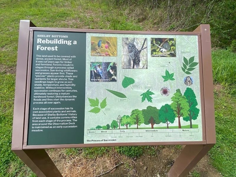 Shelby Bottoms Marker. Click for full size. Shelby Bottoms Marker image. Click for full size.