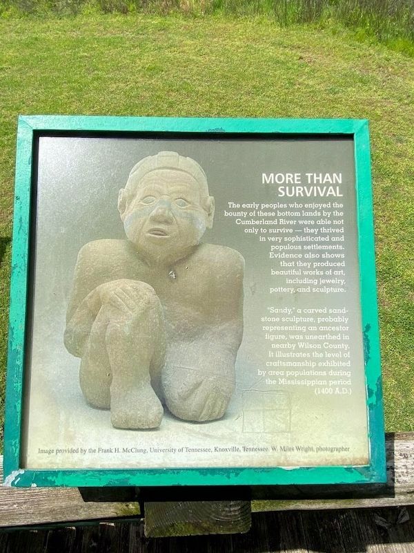 More Than Survival Marker. Click for full size. More Than Survival Marker image. Click for full size.