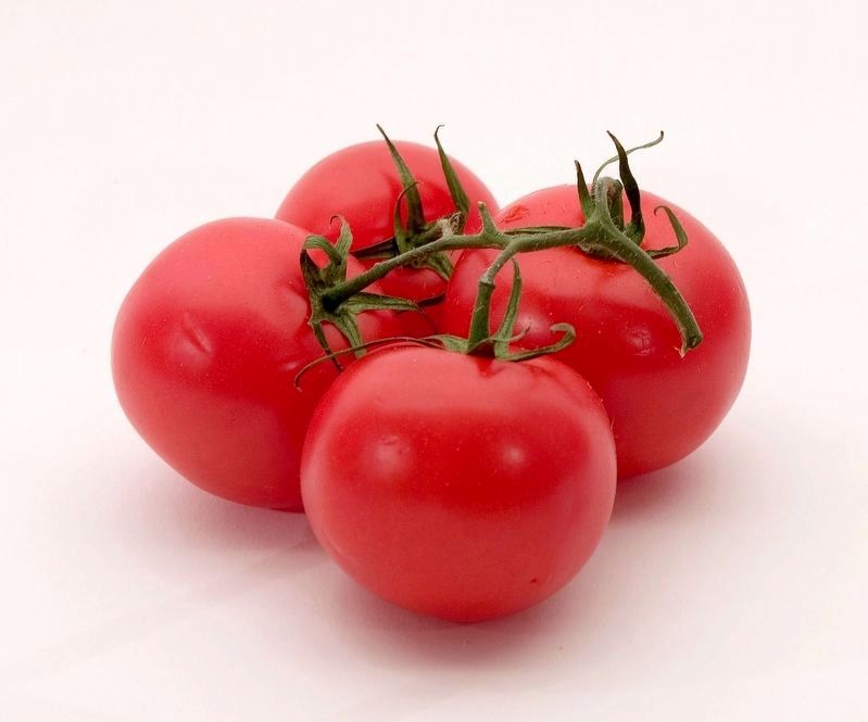 Tomatoes: Edible Berries of the <i>Solanum Lycopersicum</i> Plant image. Click for full size.